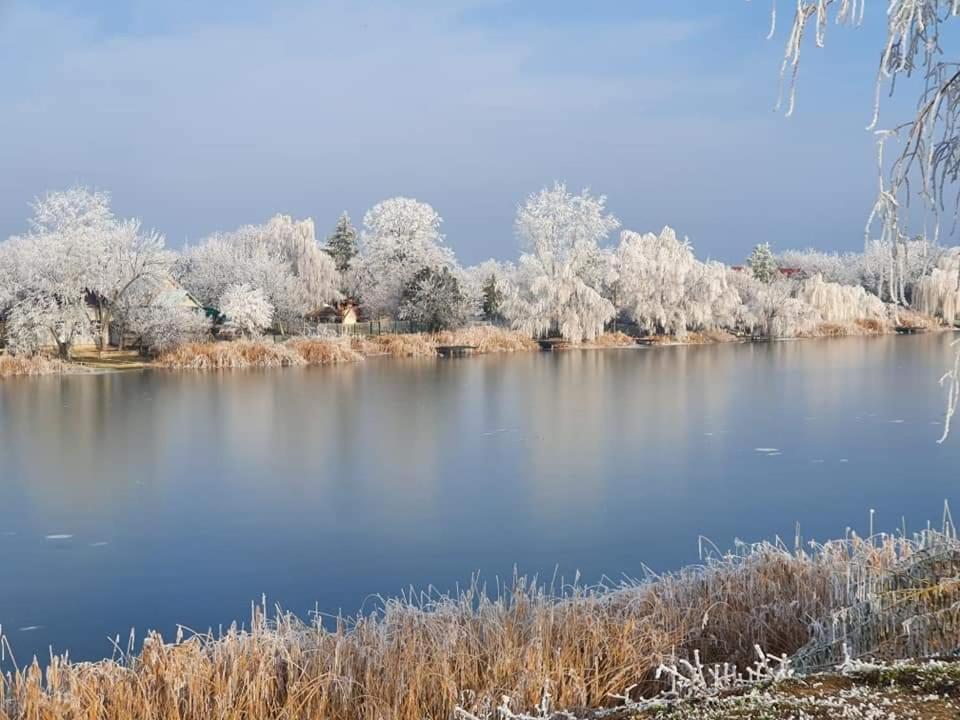 Oaza Kuca Za Odmor Villa Curug Exteriör bild